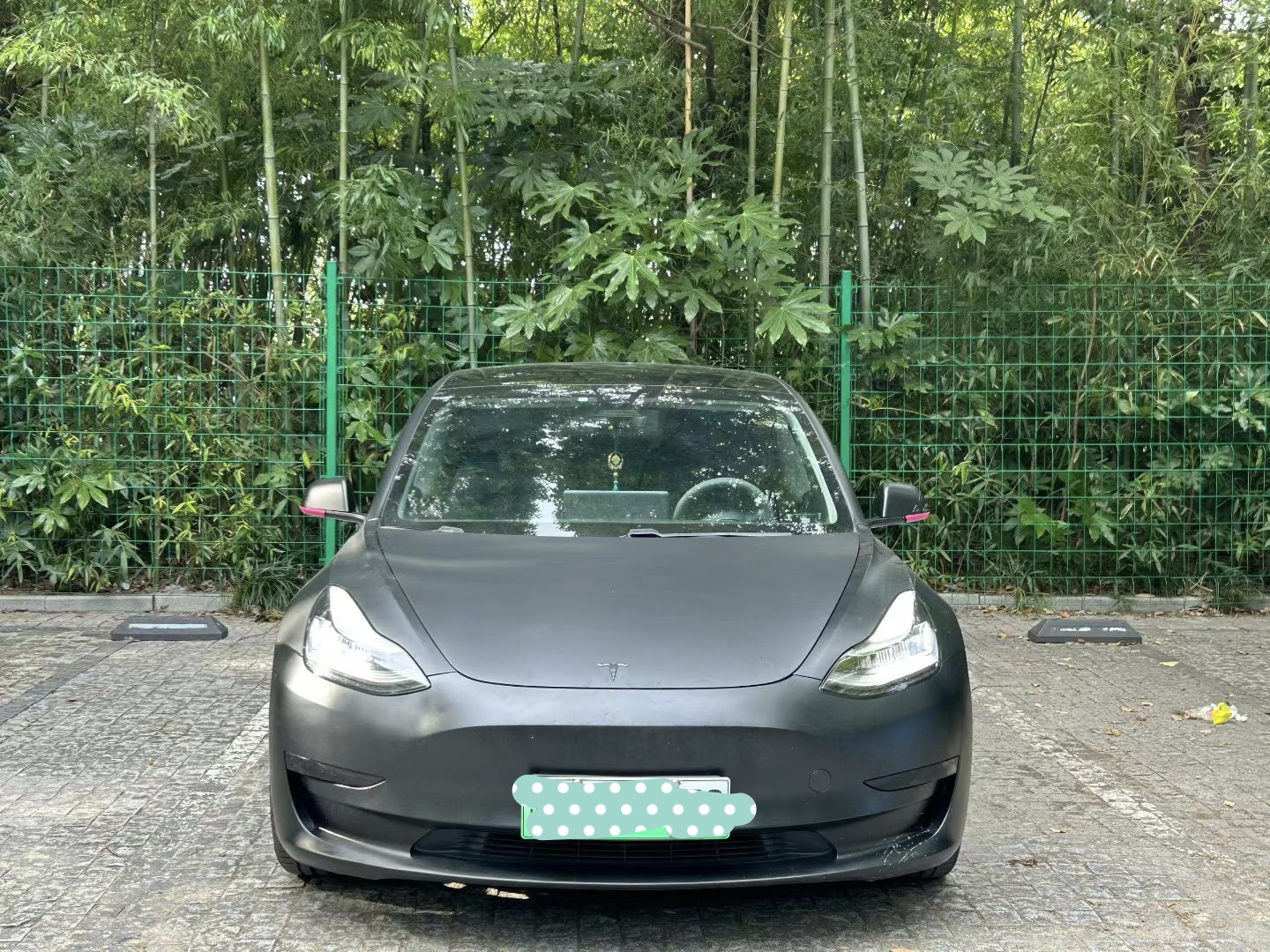 Tesla Model 3 2020 #3 Tesla Model 3 2020 car image #3