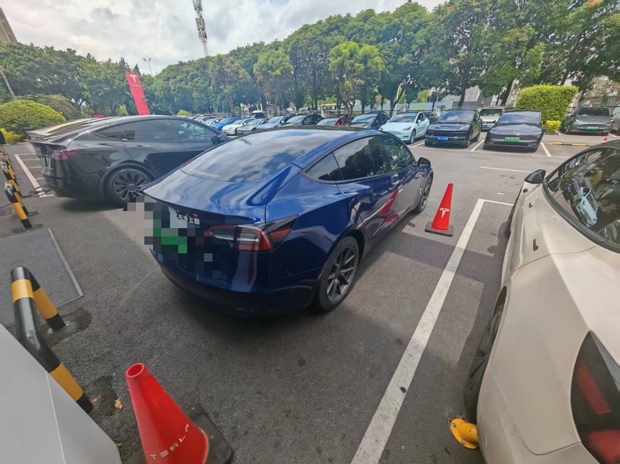 Tesla Model 3 2021 #8 Tesla Model 3 2021 car image #8