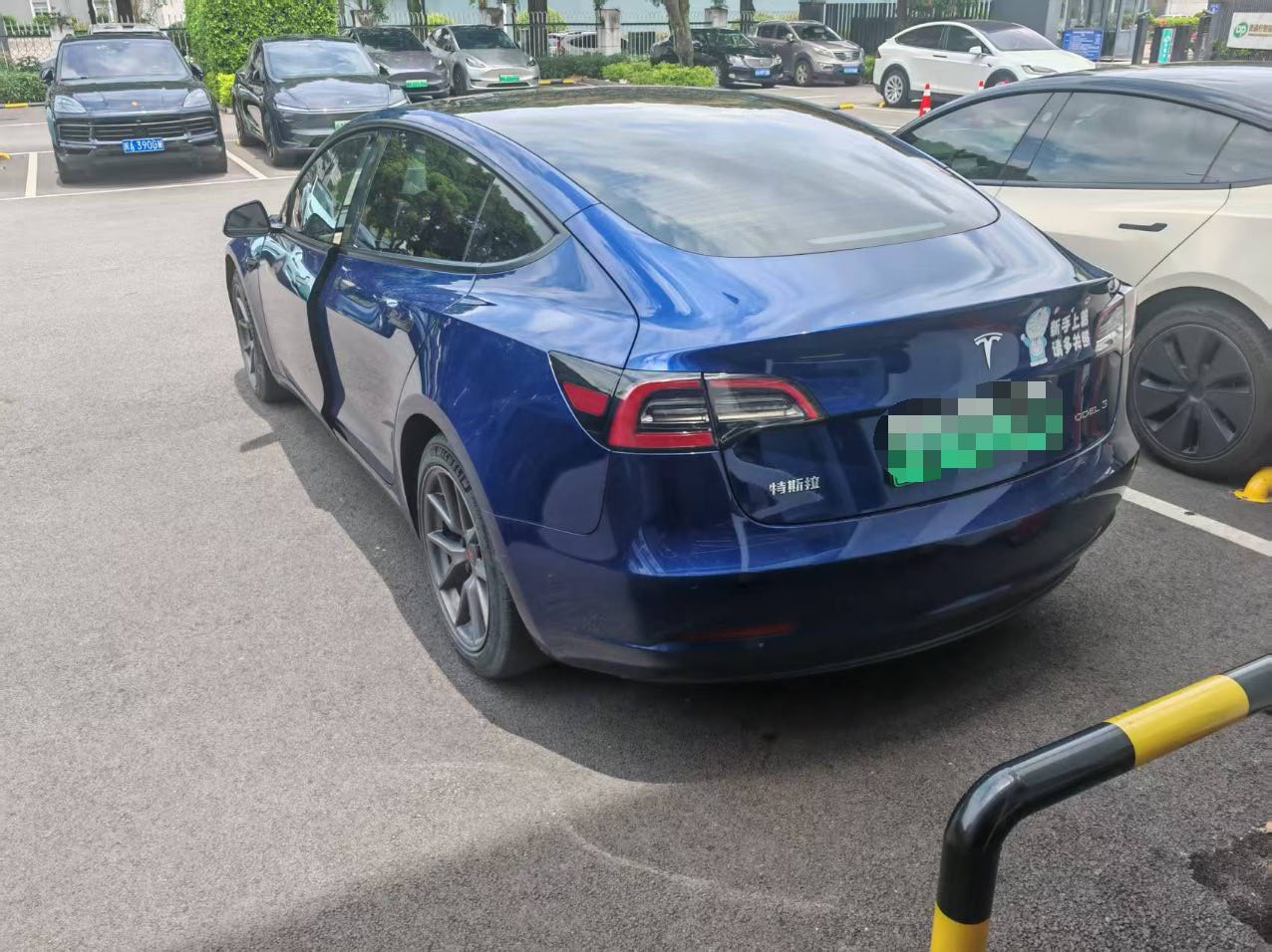 Tesla Model 3 2021 #9 Tesla Model 3 2021 car image #9