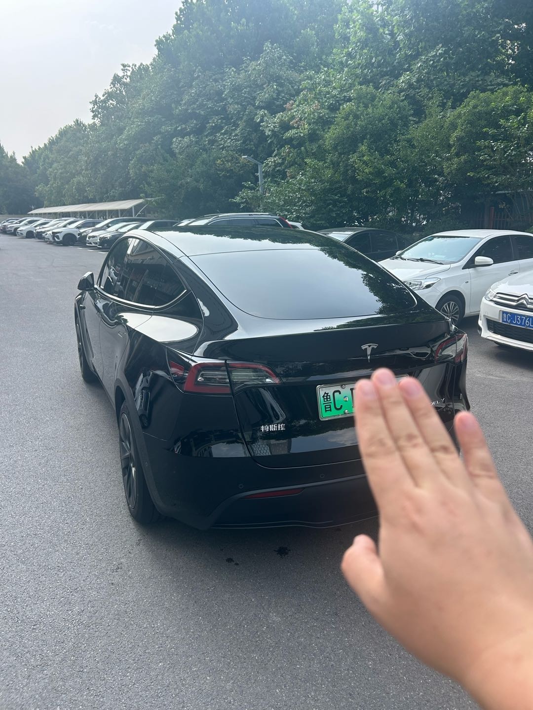 Tesla Model Y 2023 #5 Tesla Model Y 2023 car image #5