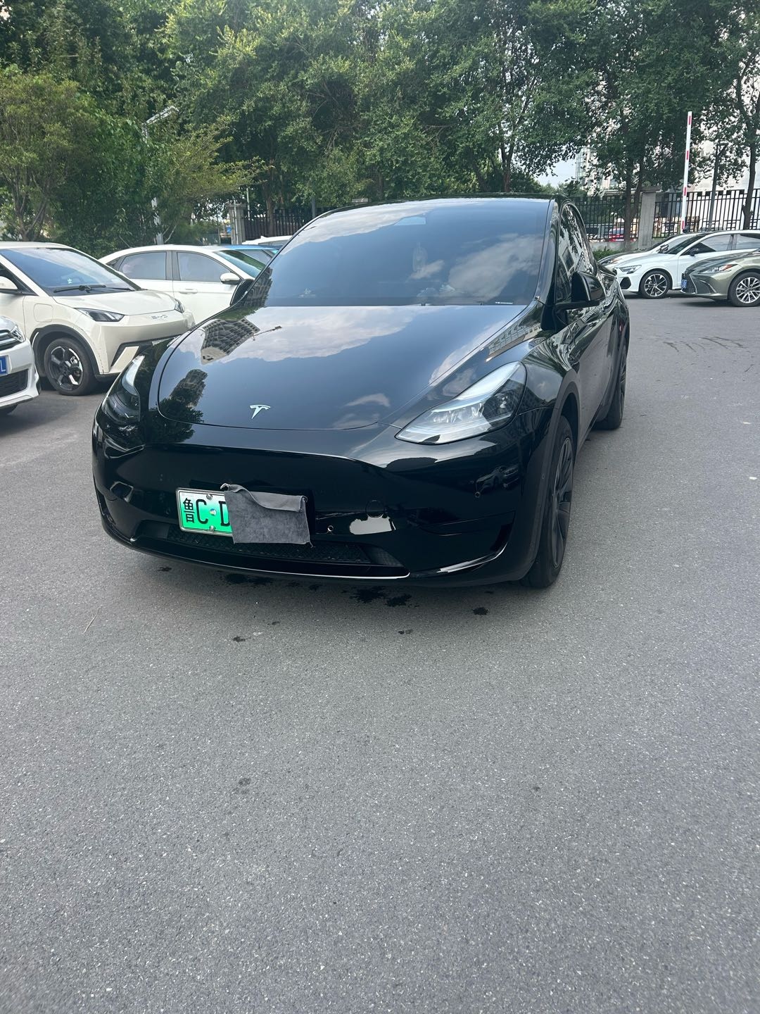 Tesla Model Y 2023 Tesla Model Y 2023 car image