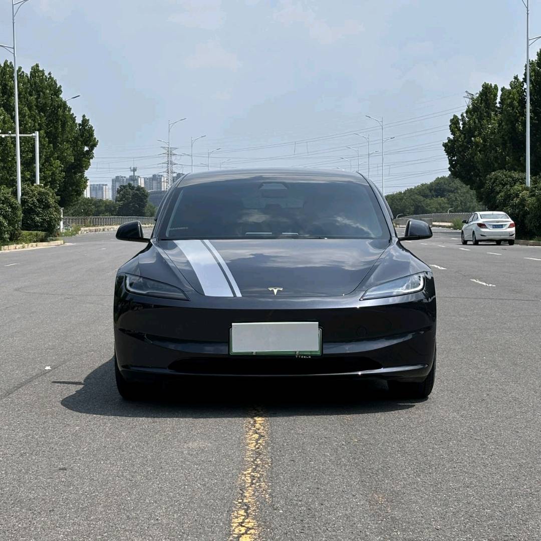 Tesla Model 3 2024 #4 Tesla Model 3 2024 car image #4