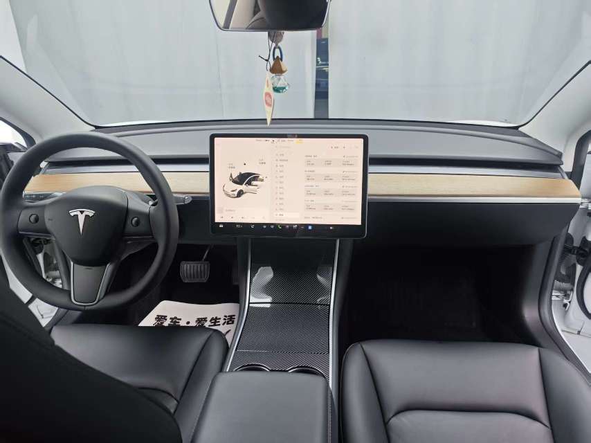 Tesla Model 3 2020 car image #10