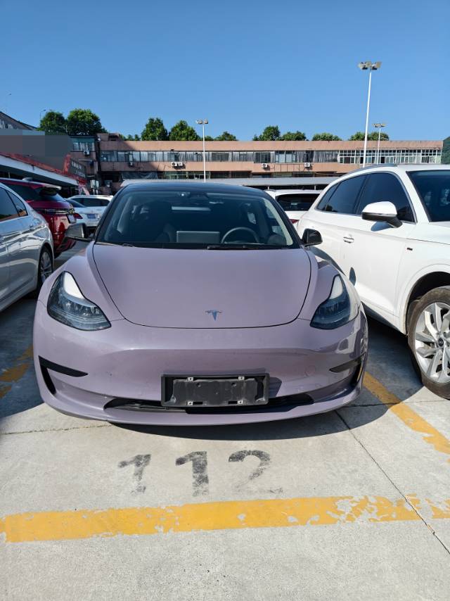 Tesla Model 3 2021 immagine di auto #4