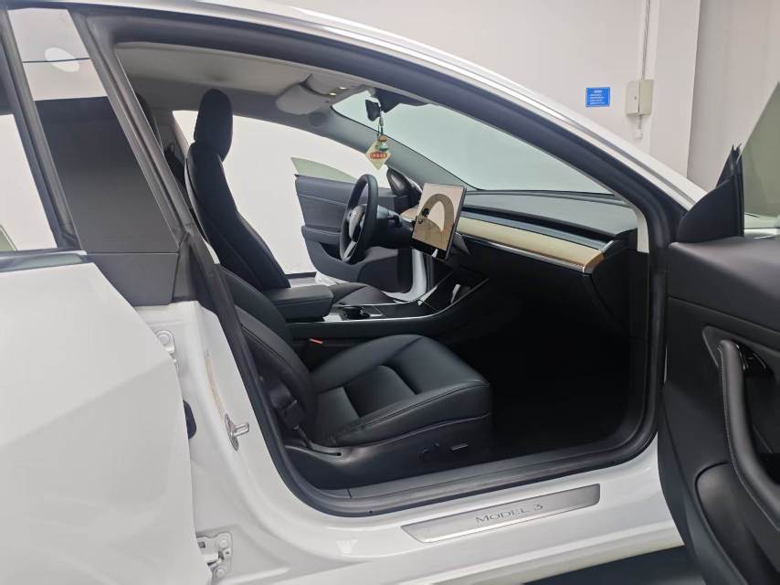 Tesla Model 3 2020 car image #9