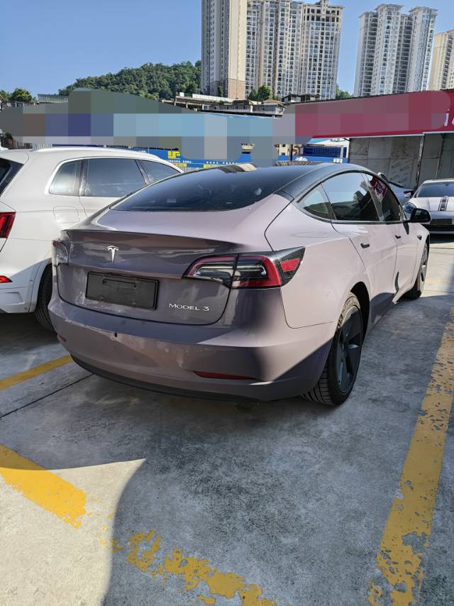 Tesla Model 3 2021 immagine di auto #8