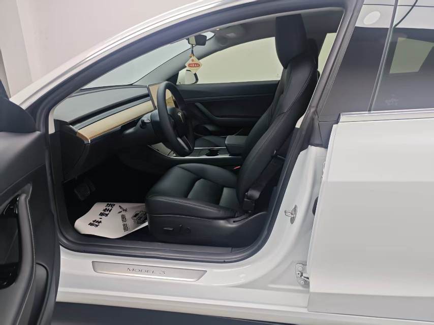 Tesla Model 3 2020 car image #8