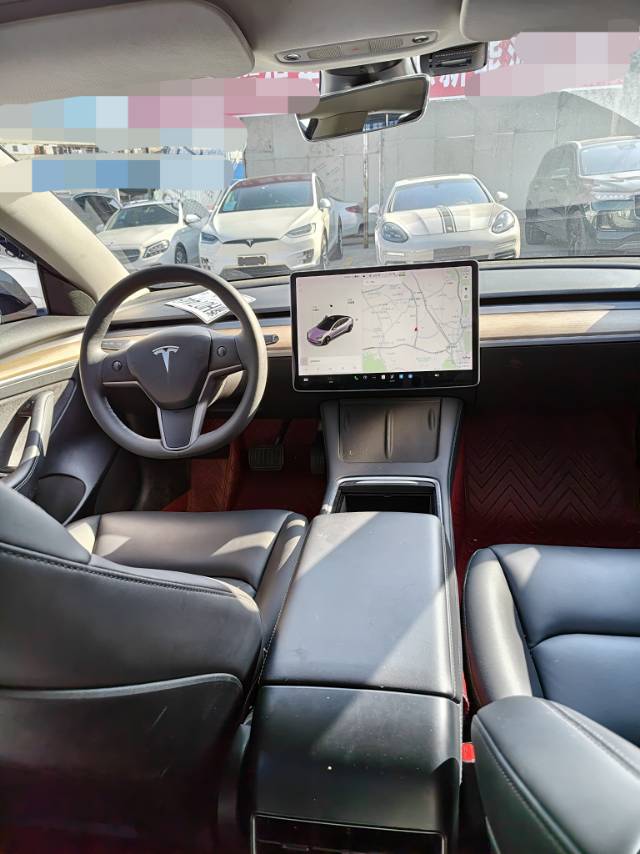 Tesla Model 3 2021 immagine di auto #6