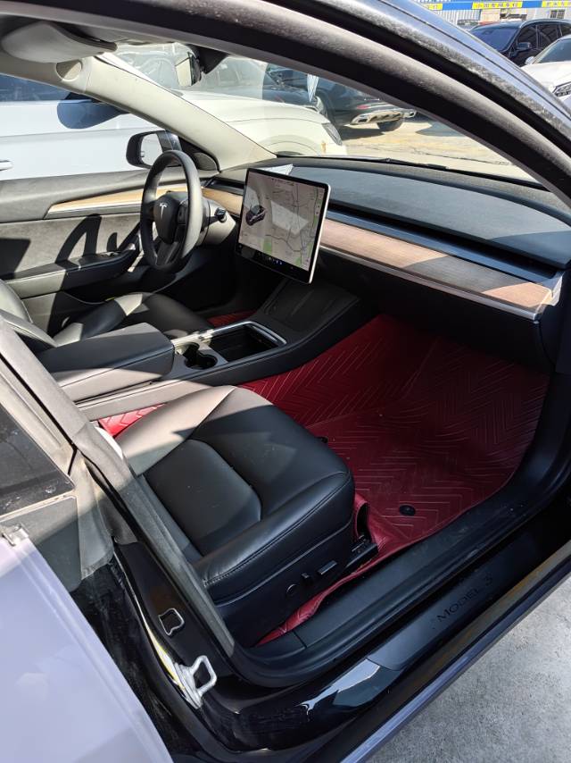 Tesla Model 3 2021 immagine di auto #7