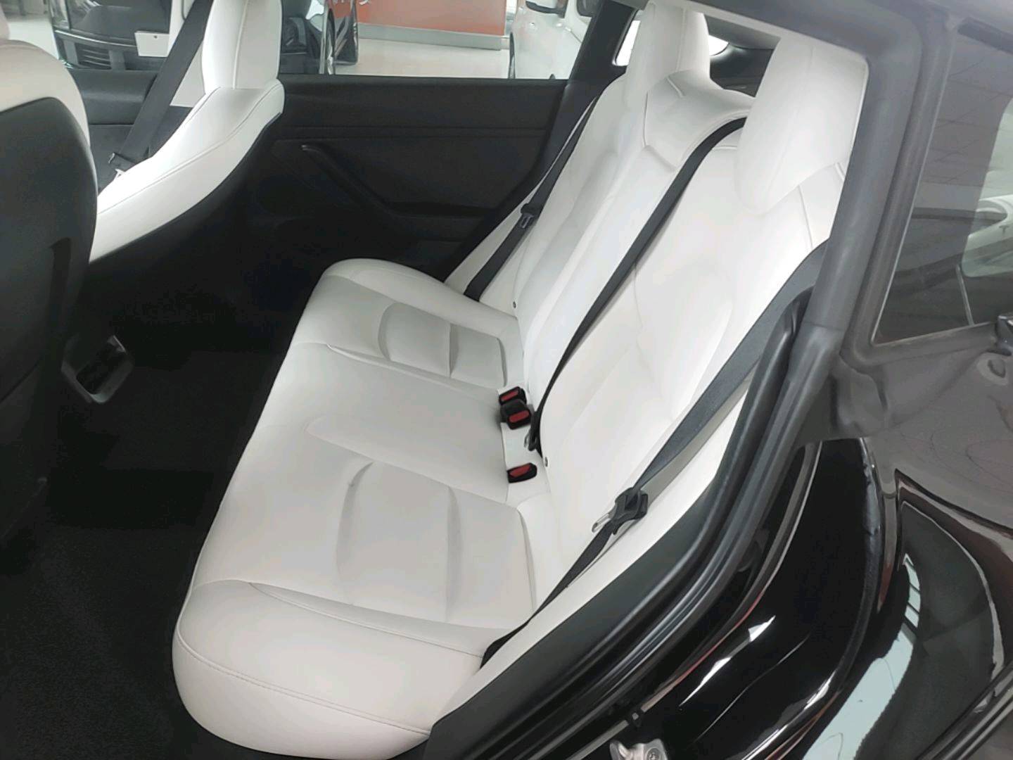 Tesla Model 3 2022 #10 Tesla Model 3 2022 car image #10