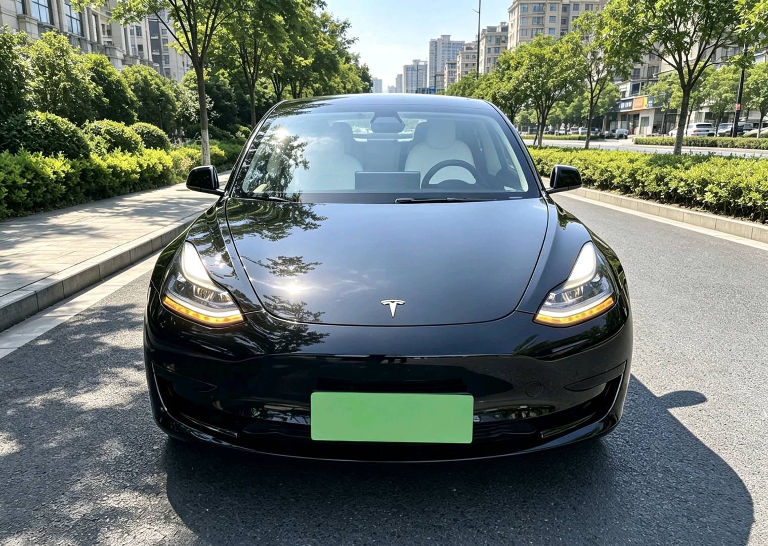 Tesla Model 3 2022 #5 Tesla Model 3 2022 car image #5
