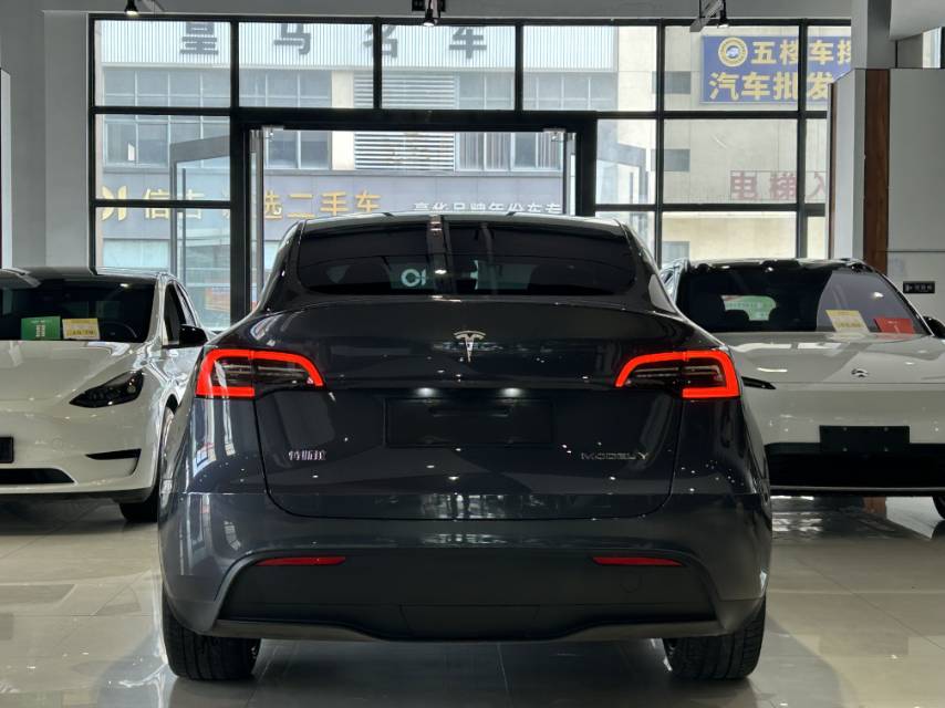 Tesla Model Y 2022 #11 Tesla Model Y 2022 car image #11