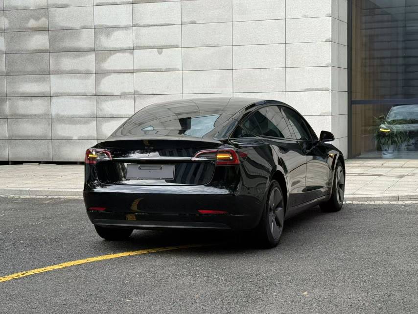 Tesla Model 3 2023 #11 Tesla Model 3 2023 car image #11