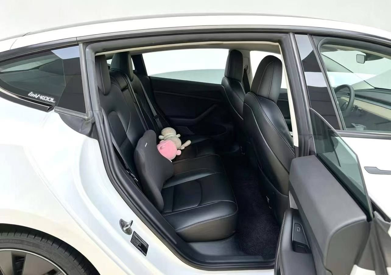 Tesla Model 3 2020 car image #11