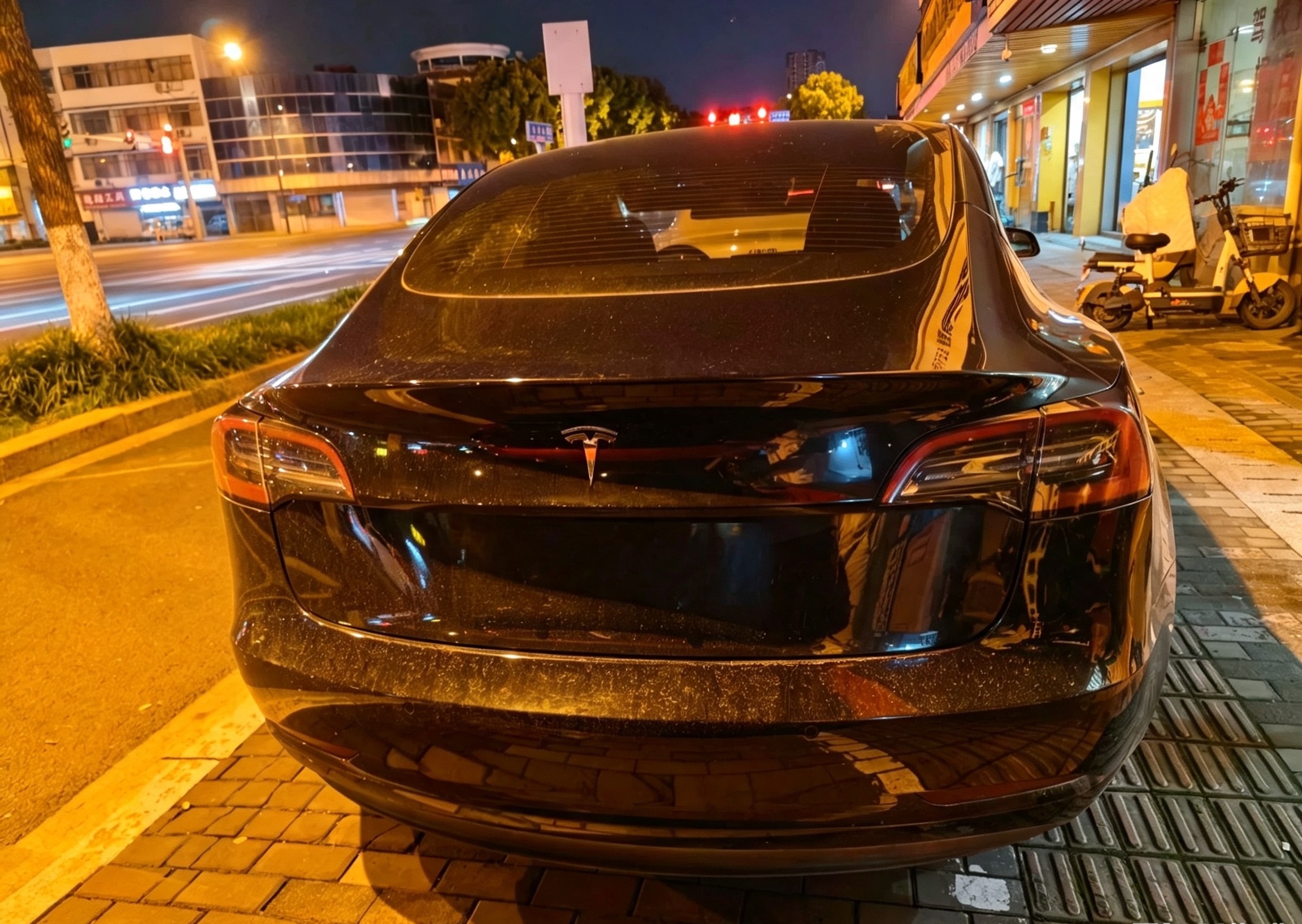 Tesla Model 3 2023 #5 Tesla Model 3 2023 car image #5