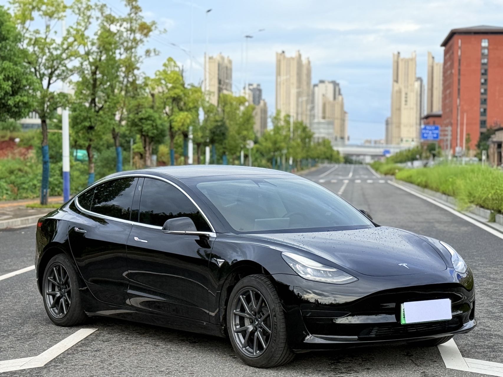 Tesla Model 3 2020 car image #5