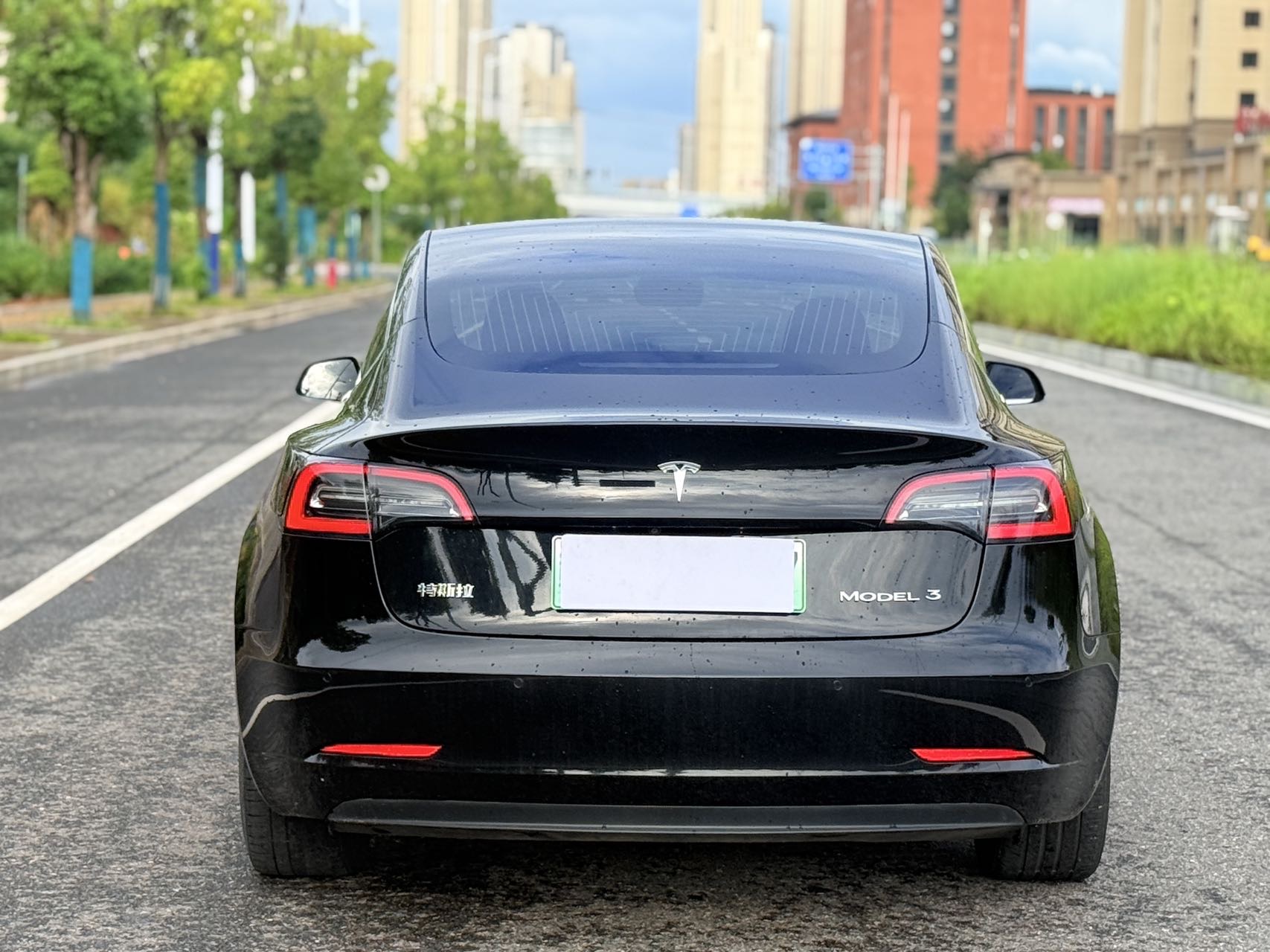 Tesla Model 3 2020 car image #10
