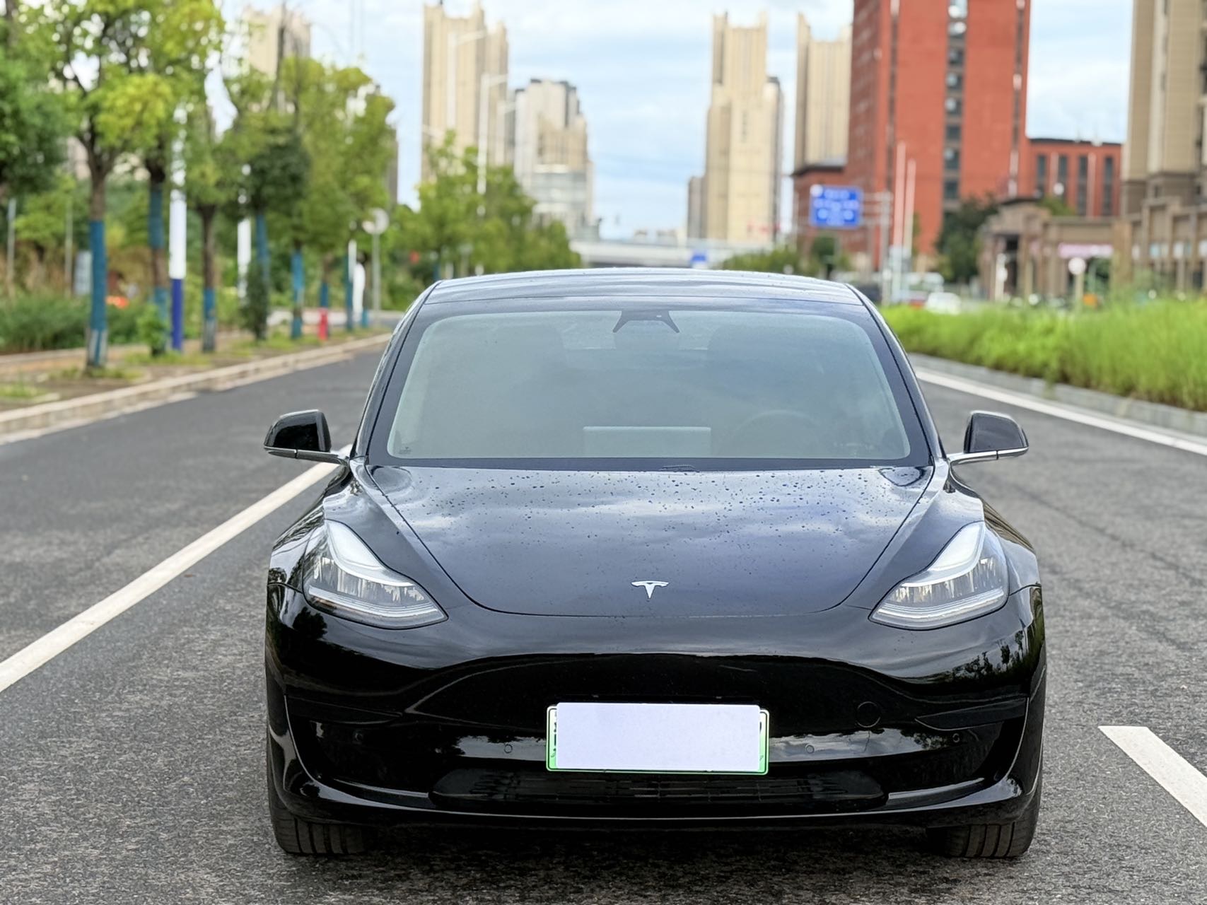 Tesla Model 3 2020 car image #4