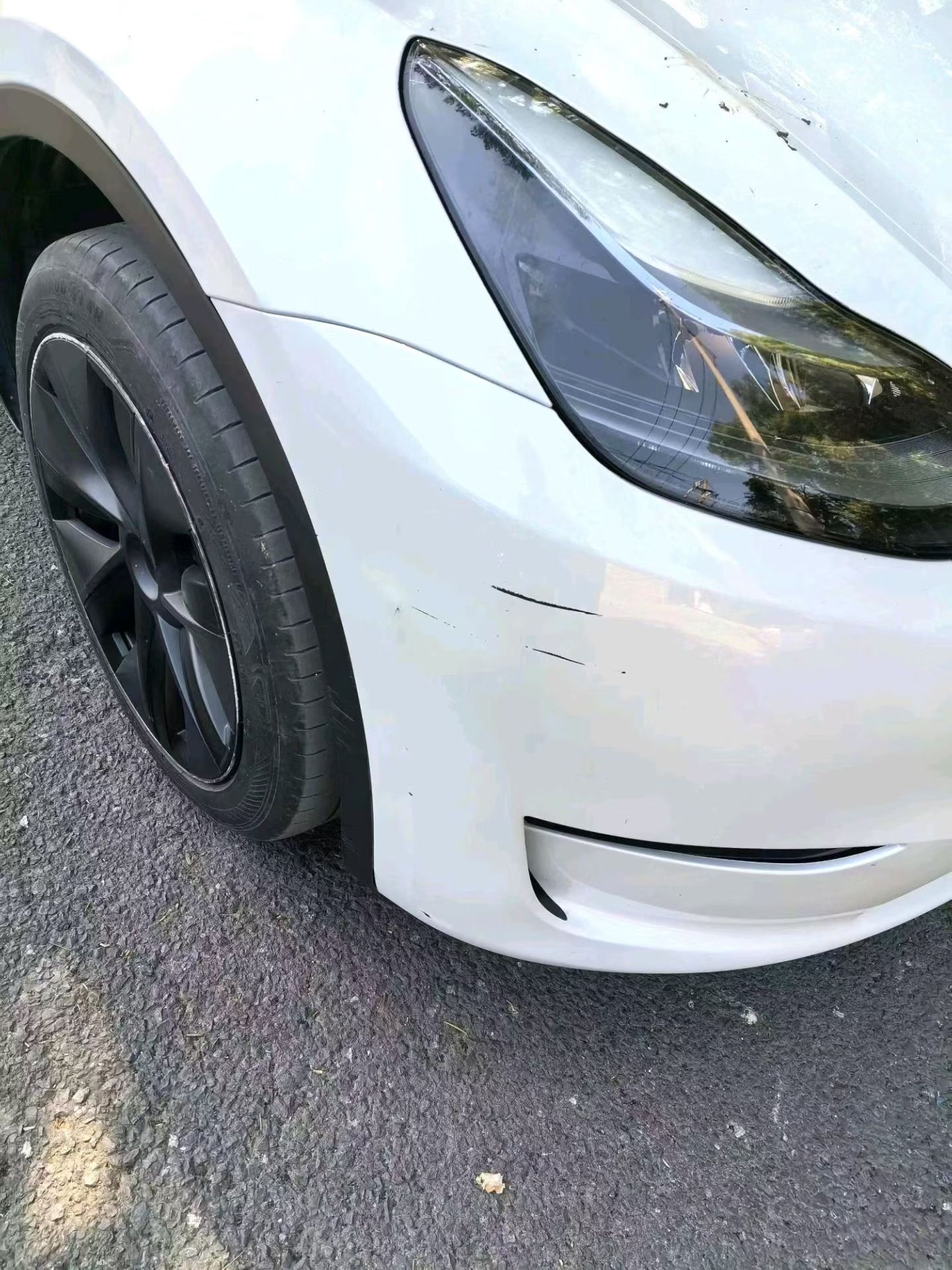 Tesla Model Y 2024 #8 Tesla Model Y 2024 car image #8