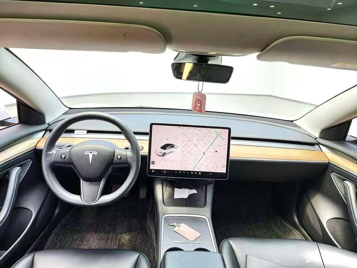 Tesla Model 3 2020 car image #9