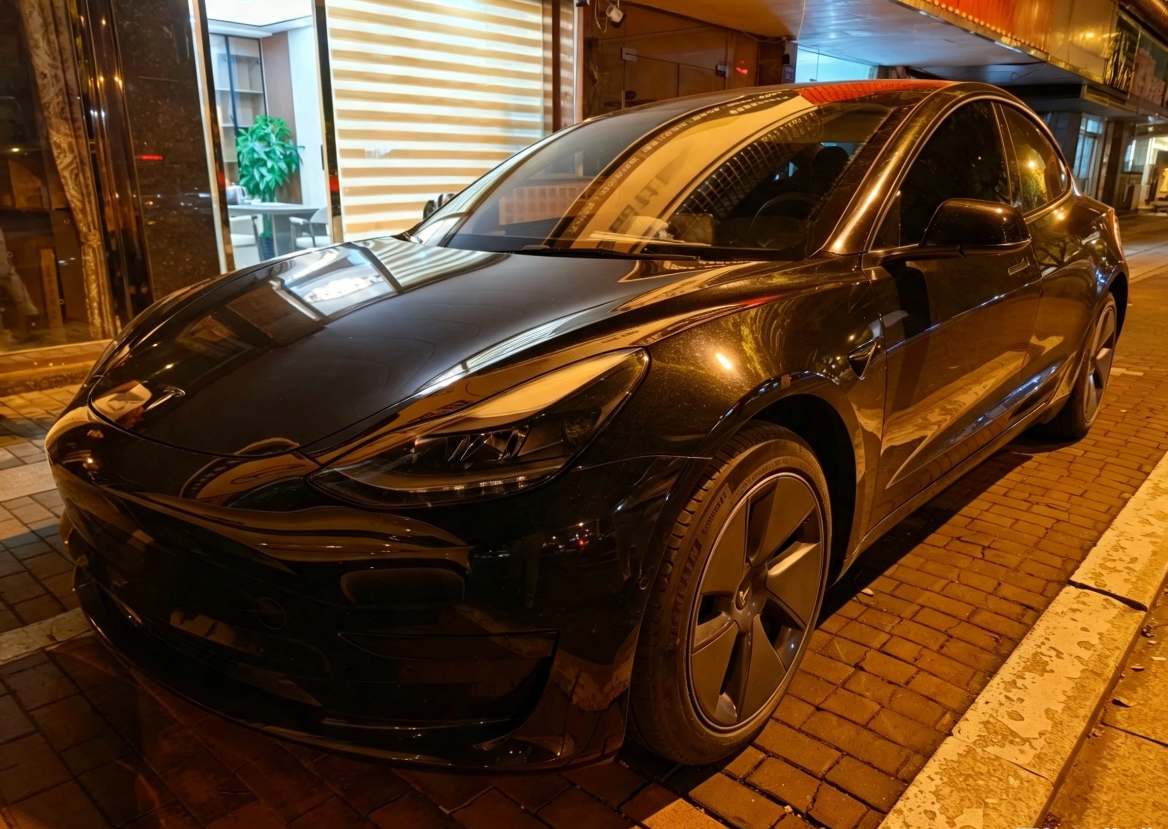 Tesla Model 3 2023 #2 Tesla Model 3 2023 car image #2