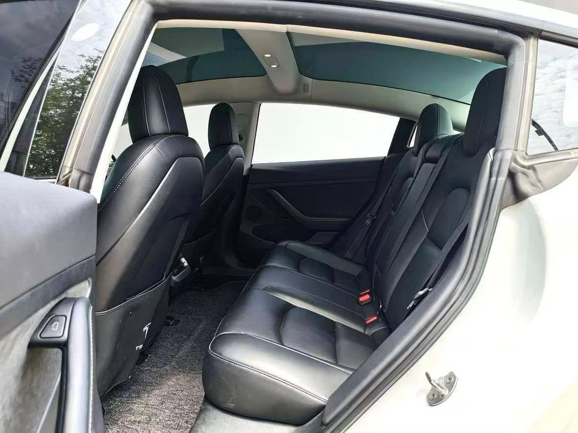 Tesla Model 3 2020 car image #10