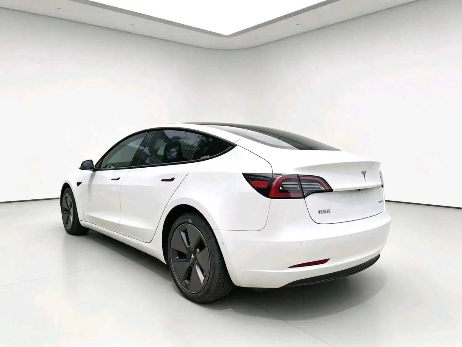 Tesla Model 3 2020 car image #6