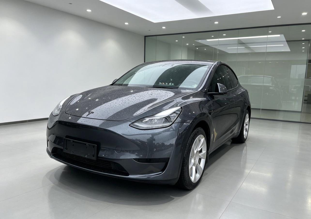 Tesla Model Y 2022 #2 Tesla Model Y 2022 car image #2