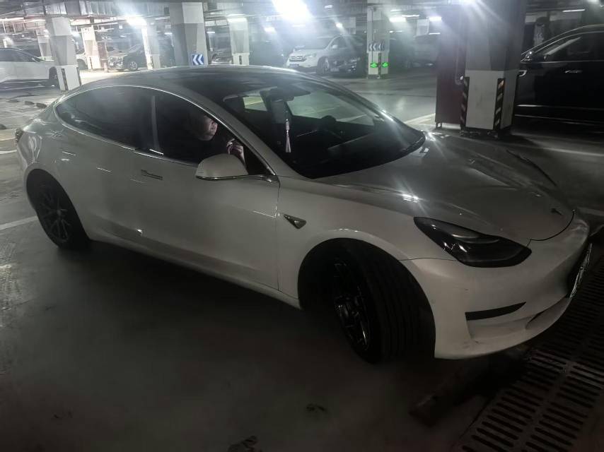 Tesla Model 3 2020 car image #6