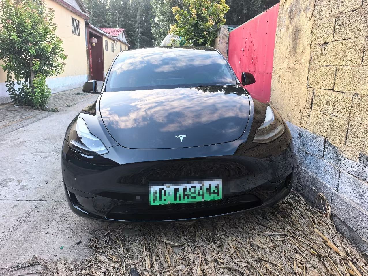 Tesla Model Y 2023 #3 Tesla Model Y 2023 car image #3