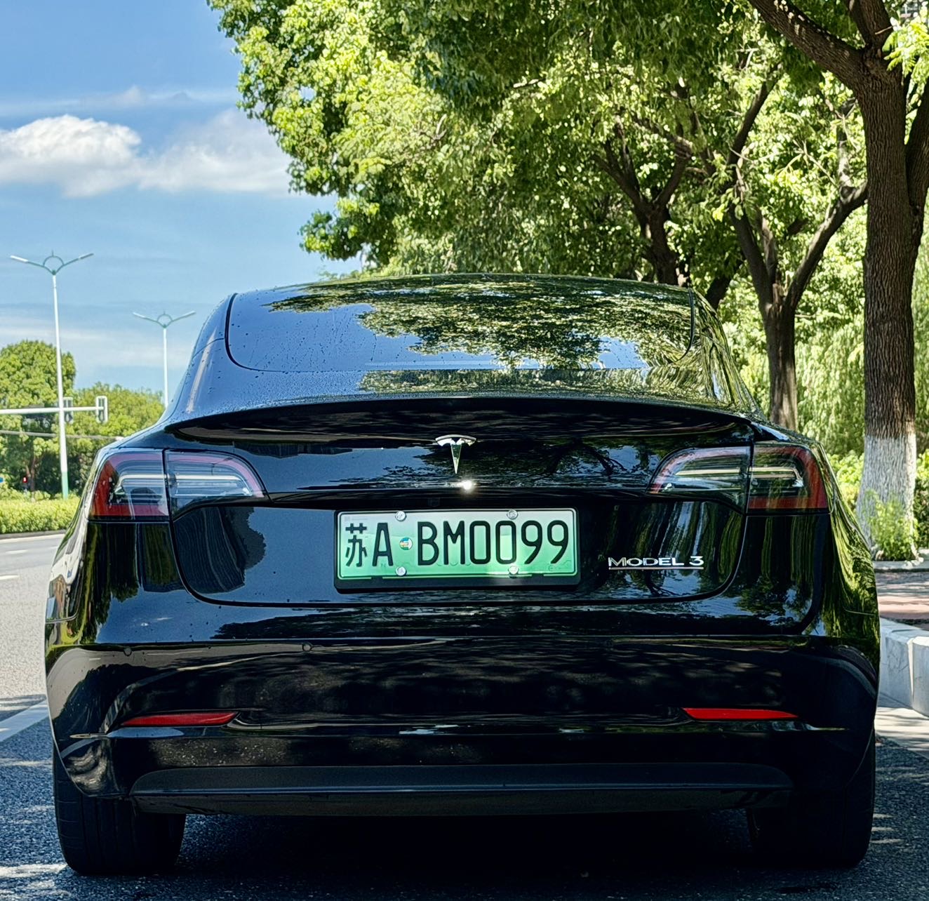Tesla Model 3 2022 #11 Tesla Model 3 2022 car image #11