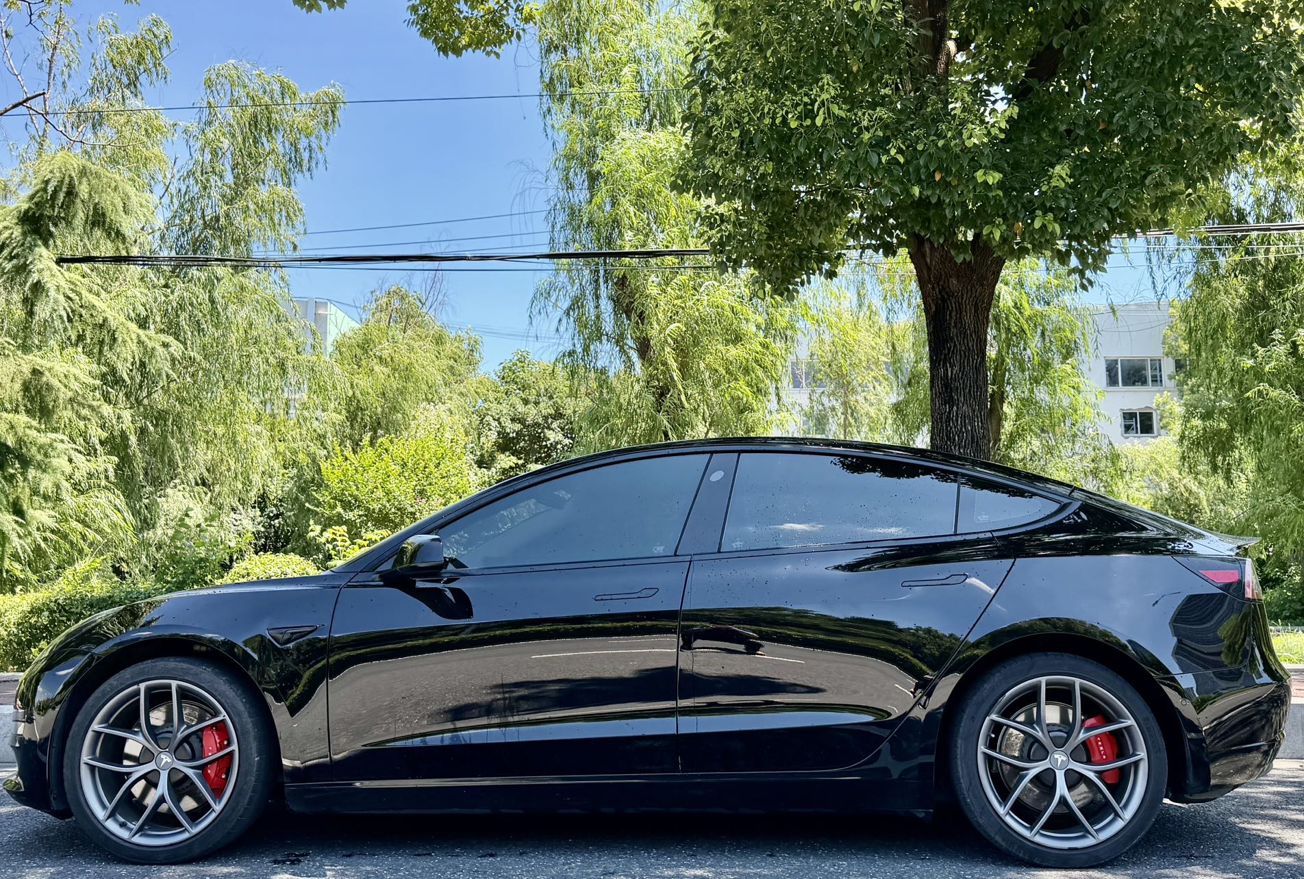 Tesla Model 3 2022 #5 Tesla Model 3 2022 car image #5