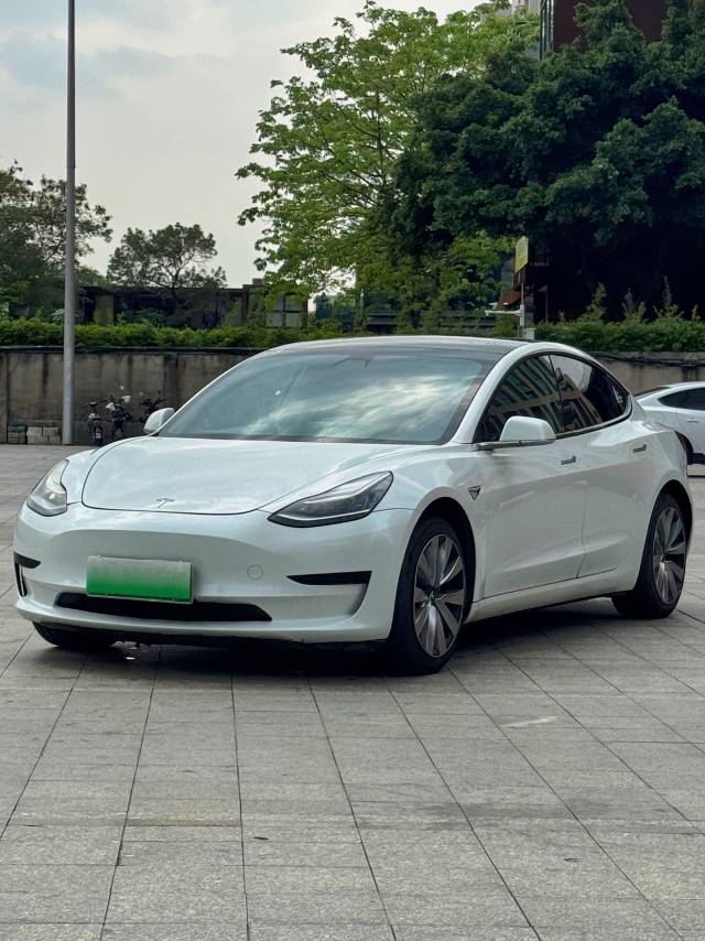 Tesla Model 3 (Imported) 2020 car image #2