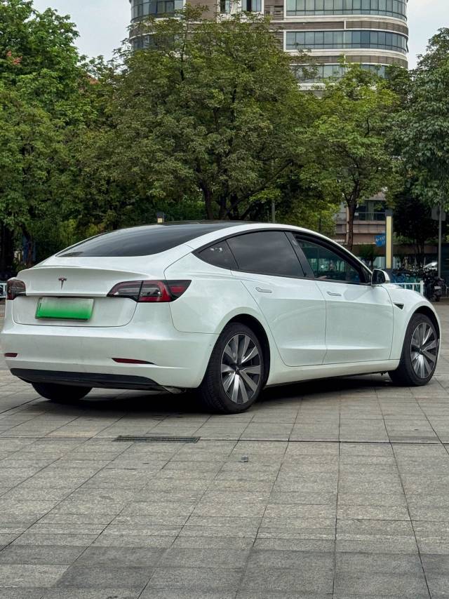 Tesla Model 3 (Imported) 2020 car image #11