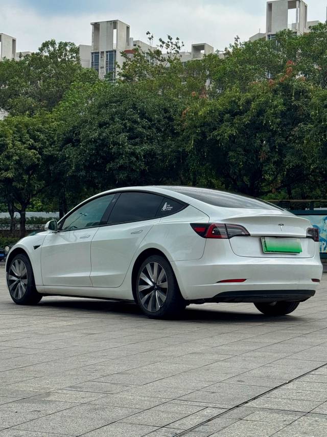 Tesla Model 3 (Imported) 2020 car image #6