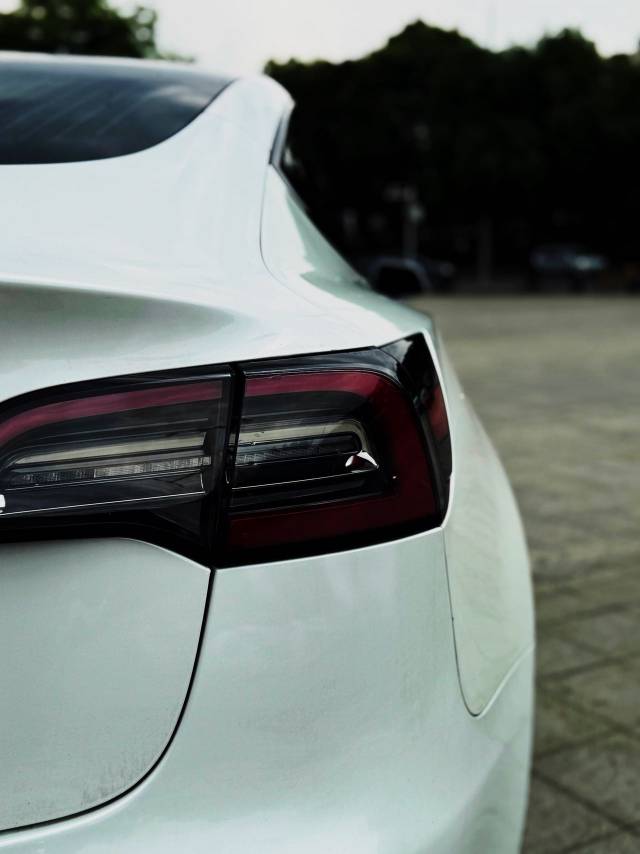 Tesla Model 3 (Imported) 2020 car image #10