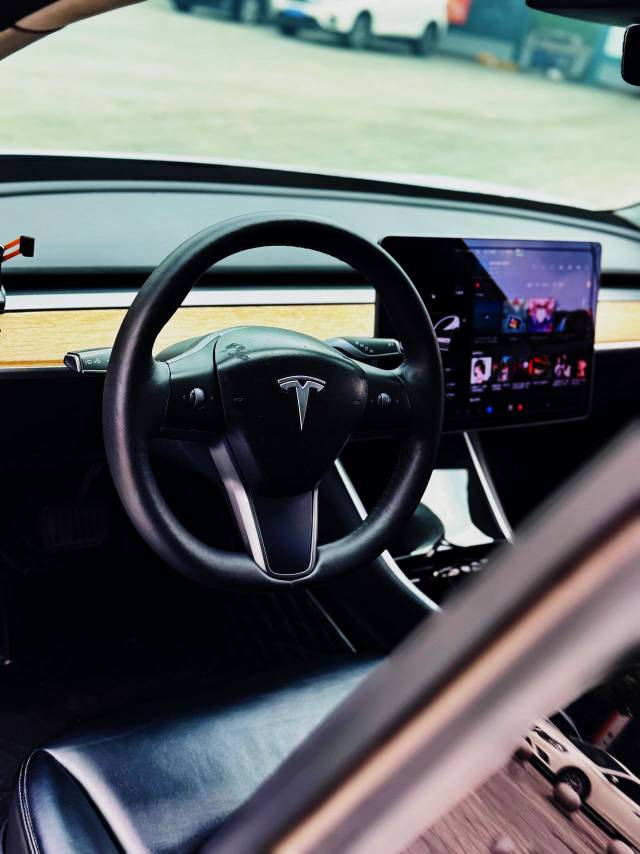 Tesla Model 3 (Imported) 2020 car image #8