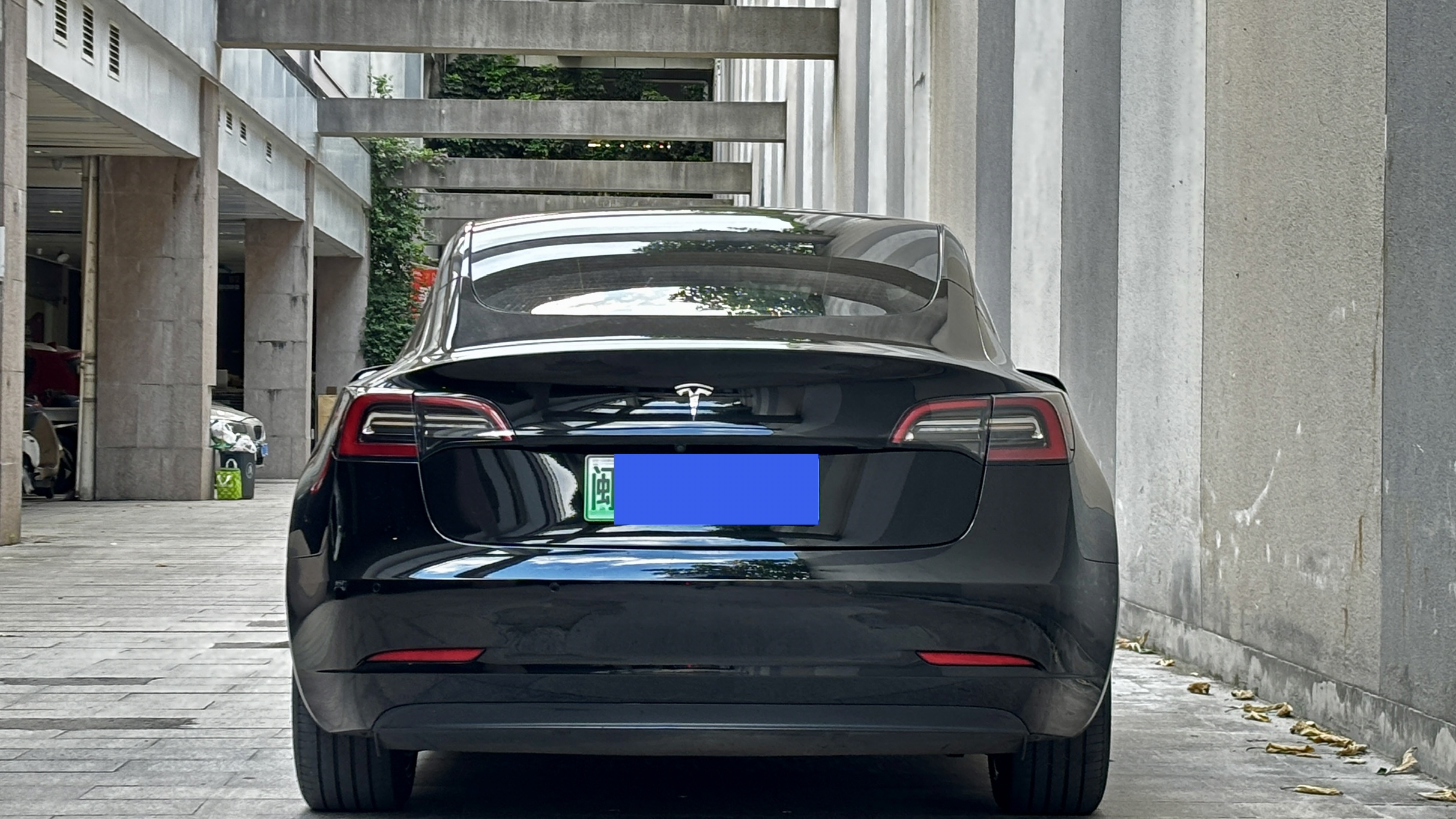 Tesla Model 3 2021 #6 Tesla Model 3 2021 car image #6