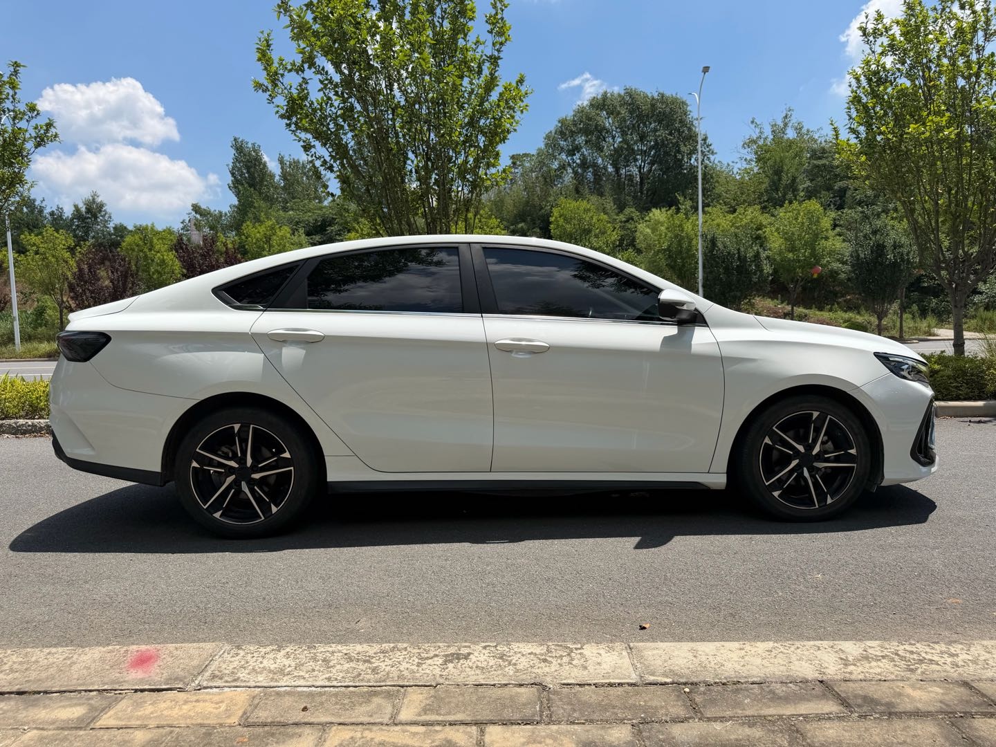 GEELY Binray 2023 immagine di auto #7