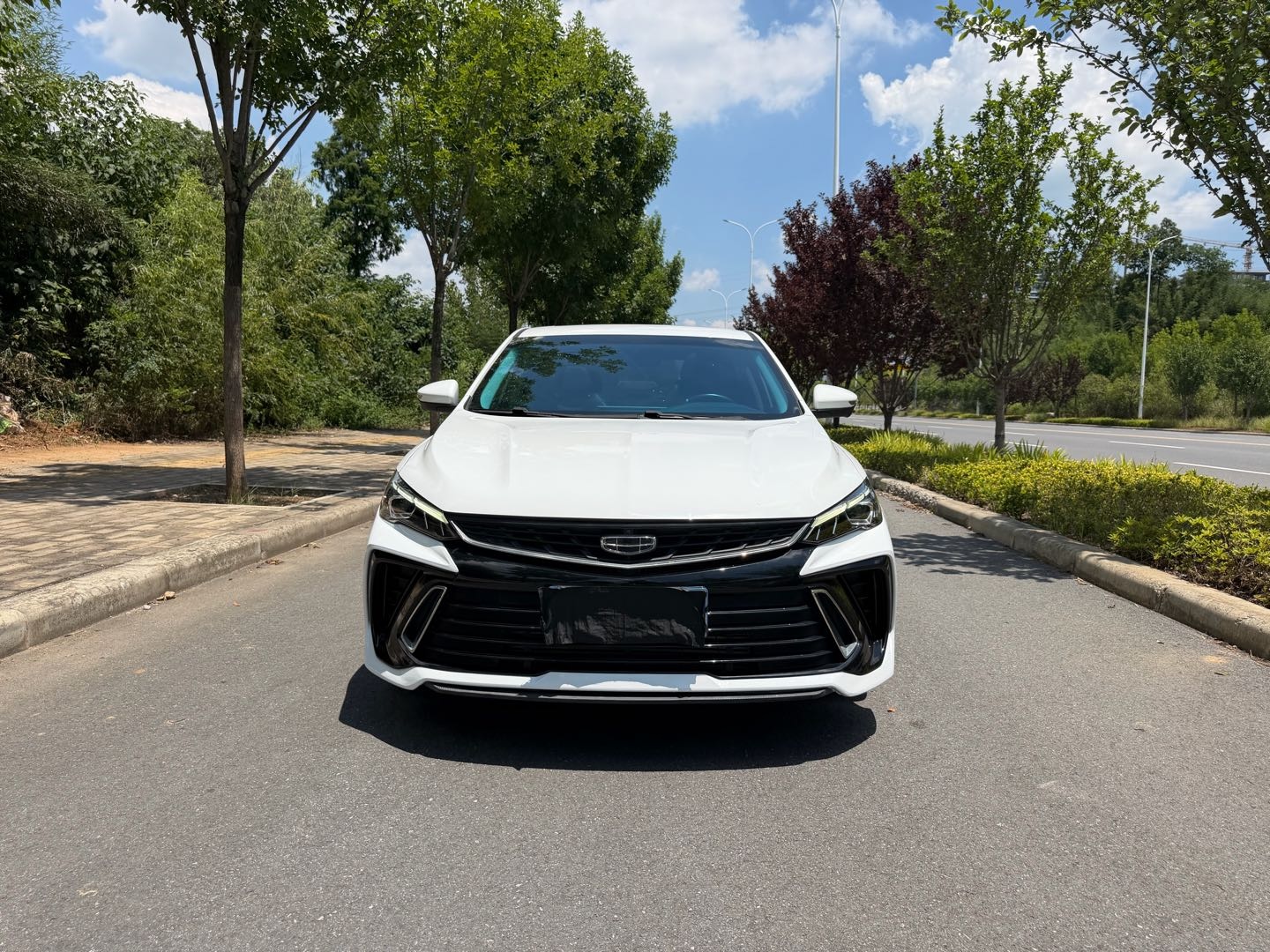 GEELY Binray 2023 immagine di auto #4