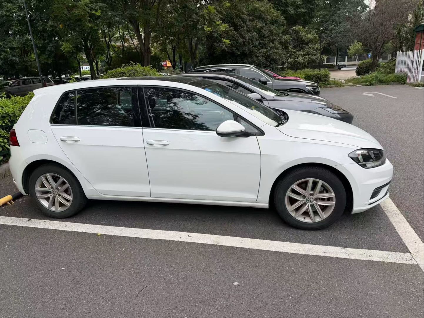 Volkswagen Golf 2019 #5 Volkswagen Golf 2019 car image #5