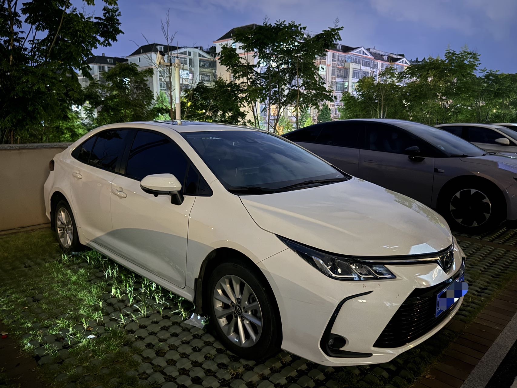 Toyota Corolla 2022 car image #5