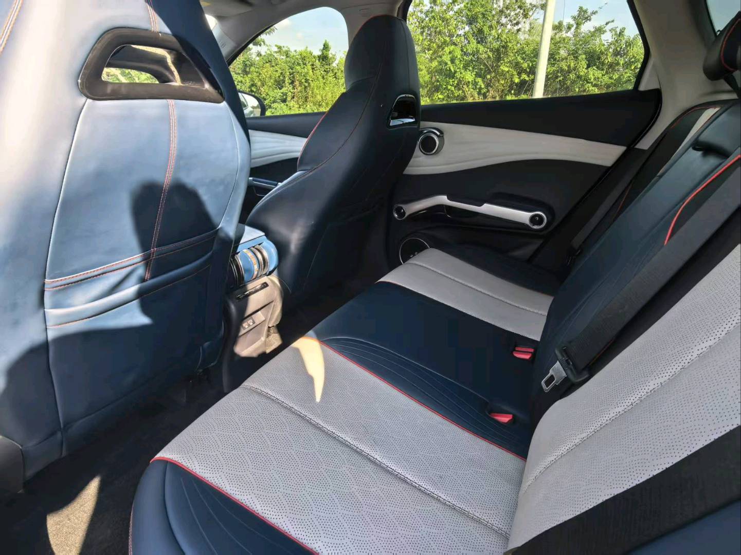 BYD Yuan Plus 2023 car image #9