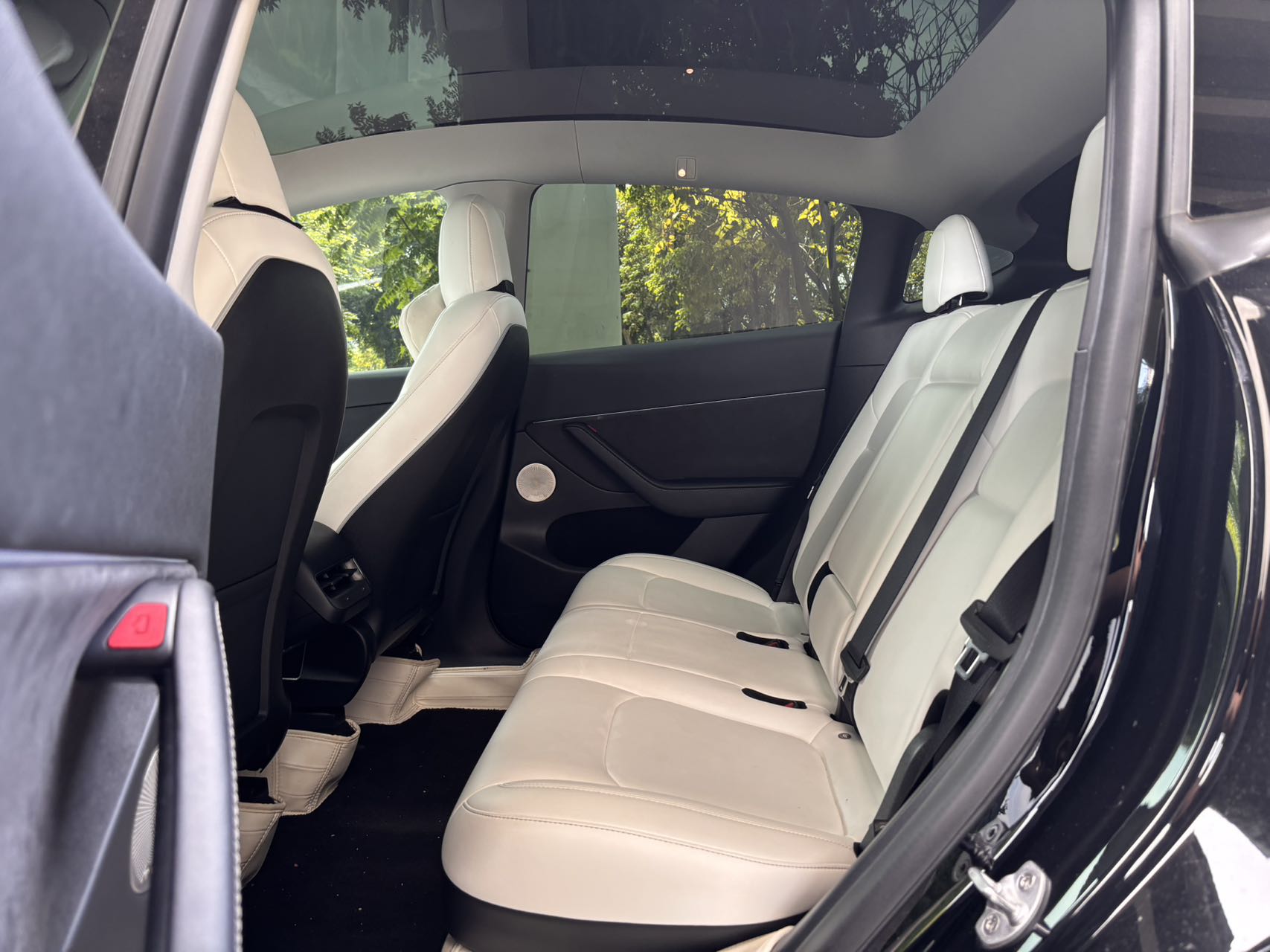 Tesla Model Y 2022 #8 Tesla Model Y 2022 car image #8