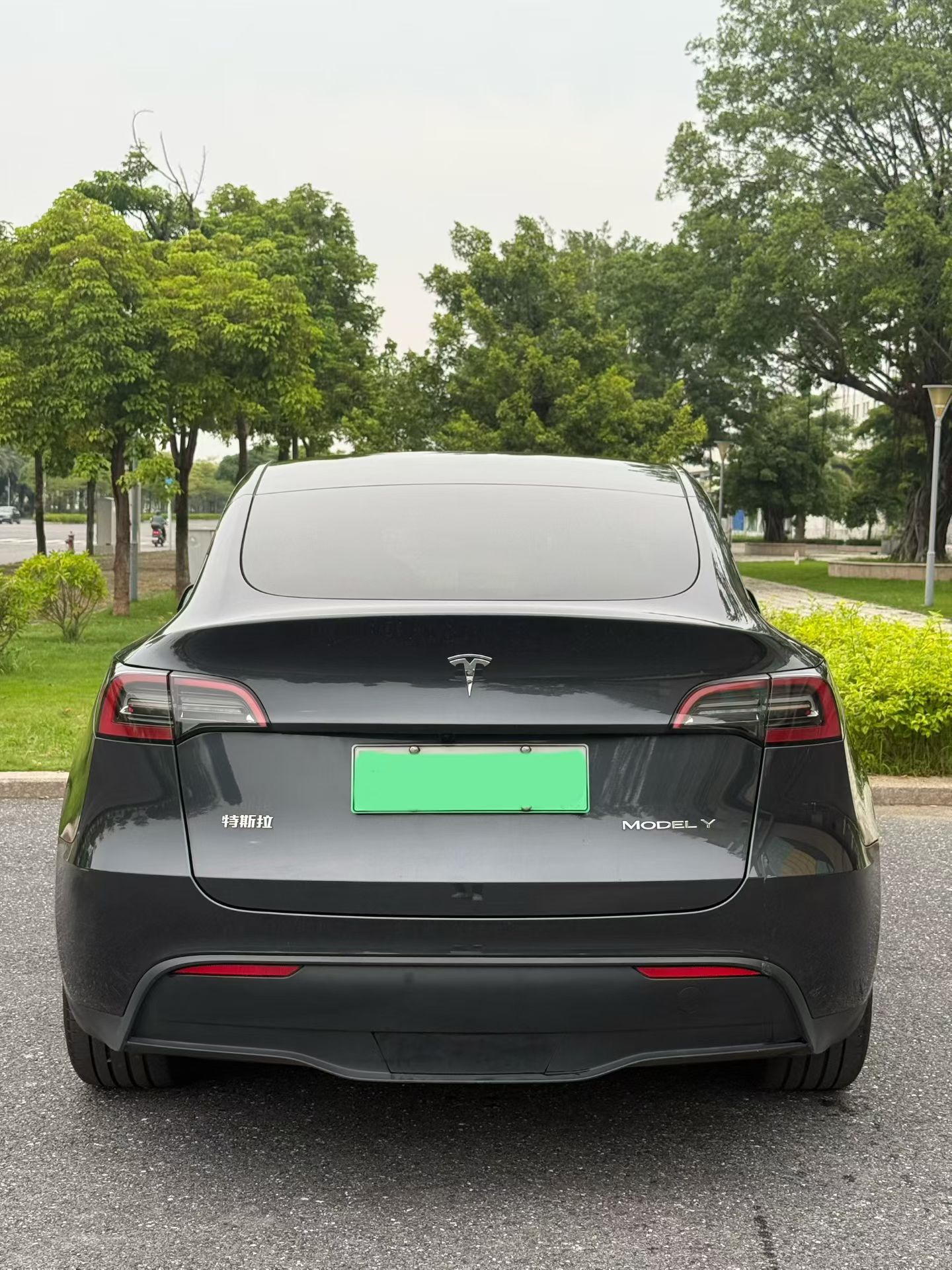 Tesla Model Y 2024 #5 Tesla Model Y 2024 car image #5