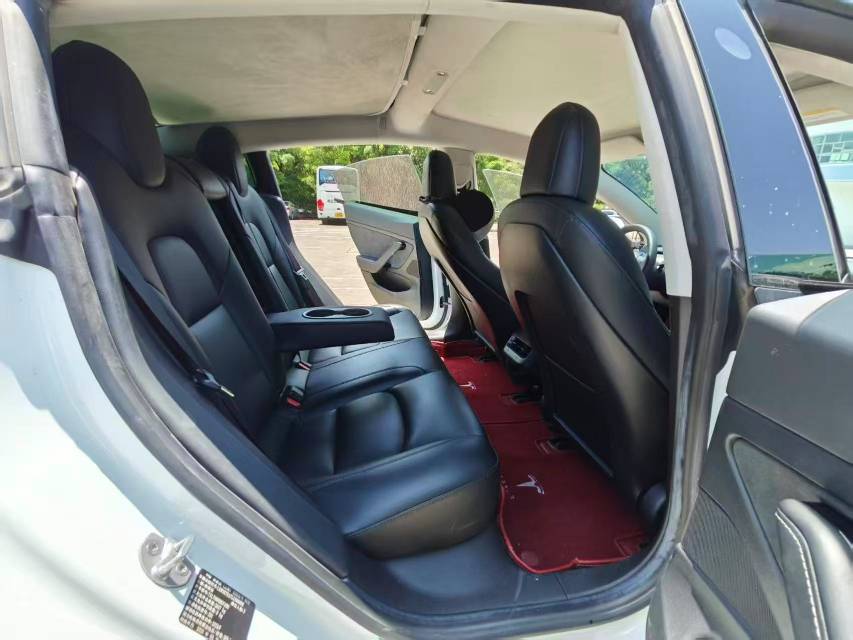 Tesla Model 3 2020 car image #9