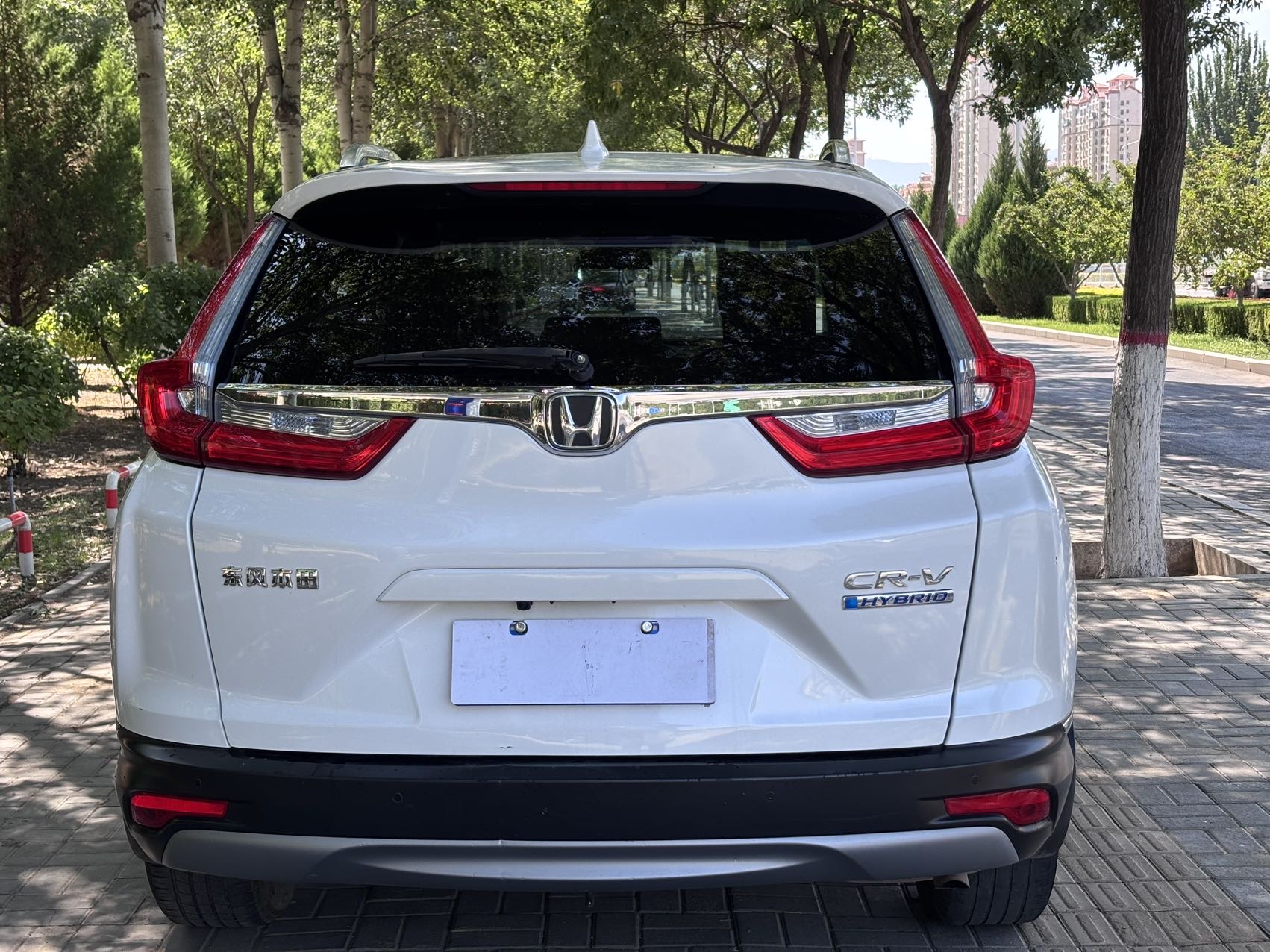 Honda CR-V 2020 #11 Honda CR-V 2020 car image #11