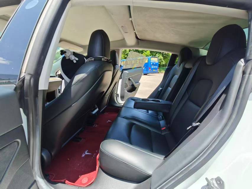 Tesla Model 3 2020 car image #8