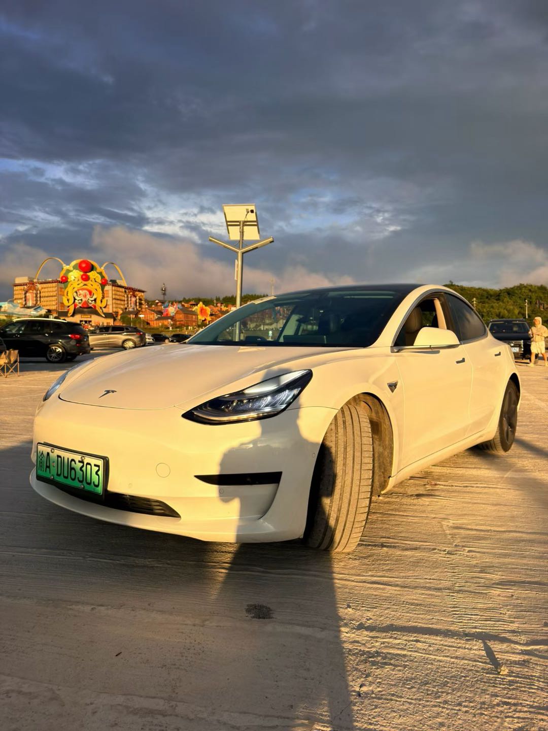 Tesla Model 3 2020 #2 Tesla Model 3 2020 car image #2