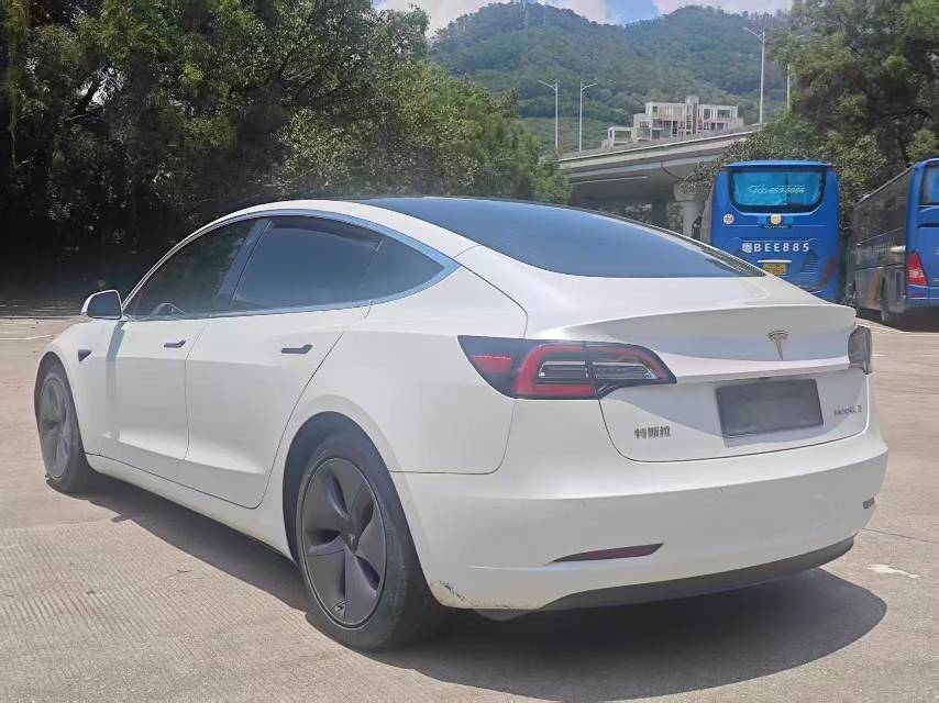 Tesla Model 3 2020 car image #10